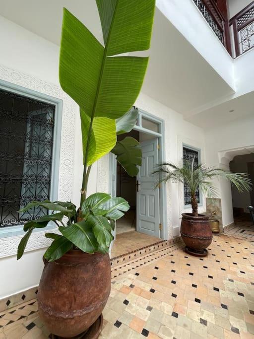 Riad Vivre - Design Boutique Riad In Marrakech Марракеш Екстер'єр фото